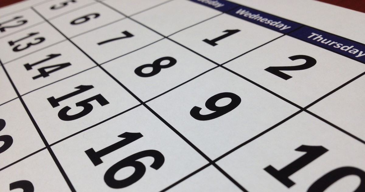 Tax Deadlines in August 2023: Calendar, Payments, and Installments