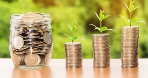 Distribuzione dividendi Srl: regole, procedura e costi