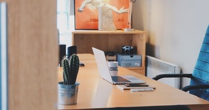 Responsabilità degli ex amministratori per sanzioni e debiti tributari della società